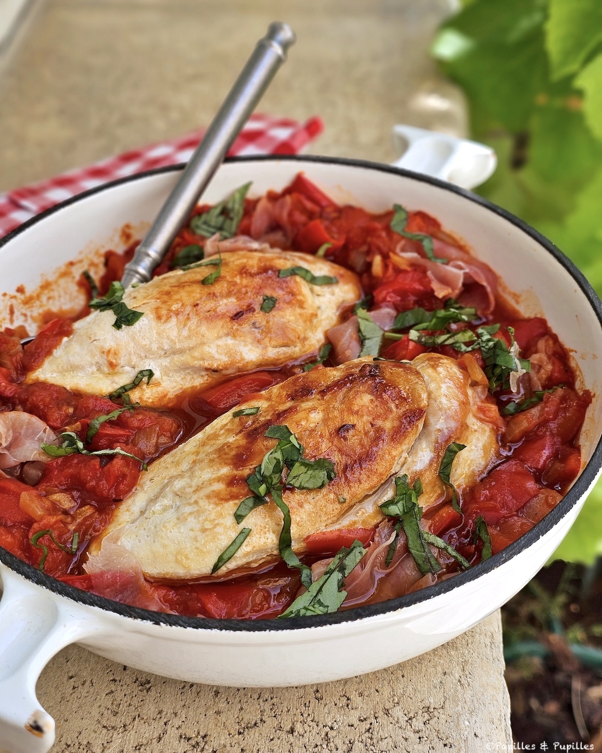 Poulet à la Biscayenne 