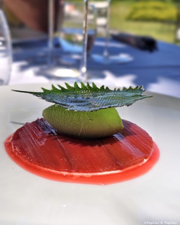 rhubarbe confite au sirop de grenadine, crème à la vanille de Madagascar, cristalline et sorbet shiso vert