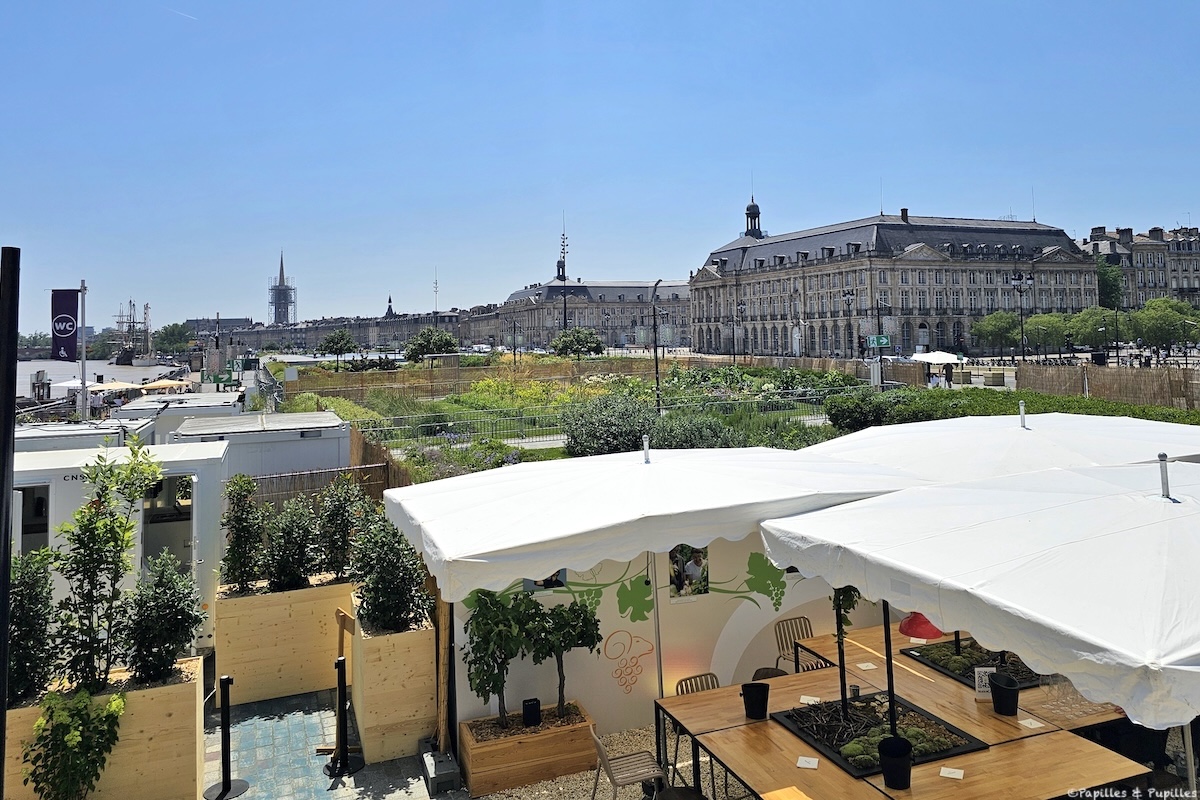 Bordeaux fête le vin