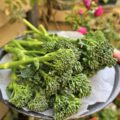 Broccolini (Bimi)