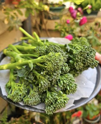 Broccolini (Bimi)