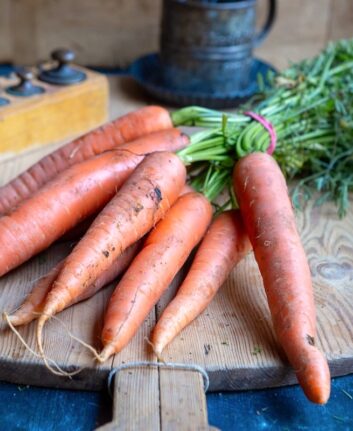Carottes fanes