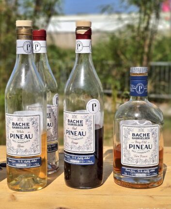 Dégustation Pineau