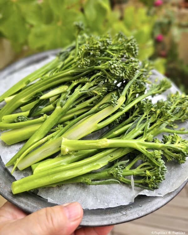Broccolini fendus en 2