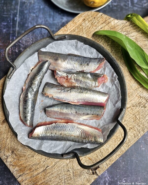 Filets de sardines