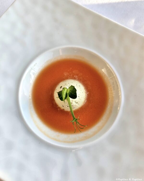 Gaspacho, crème montée au basilic