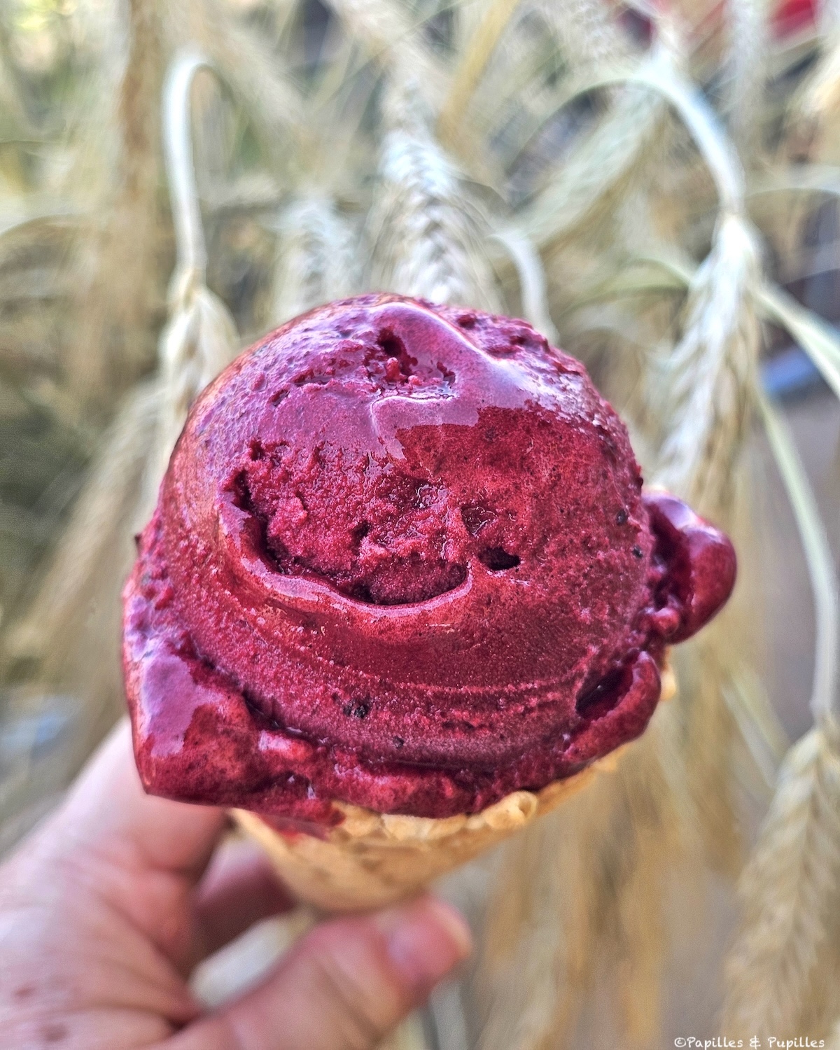 Glace au cassis