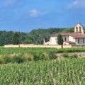 Vignes du Médoc