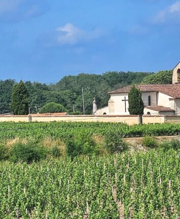 Vignes du Médoc