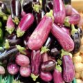 Aubergines