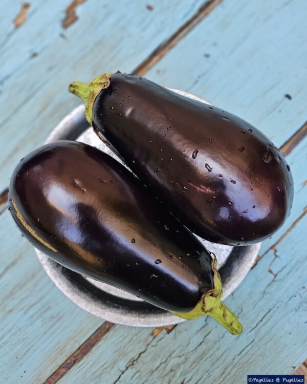 Aubergines