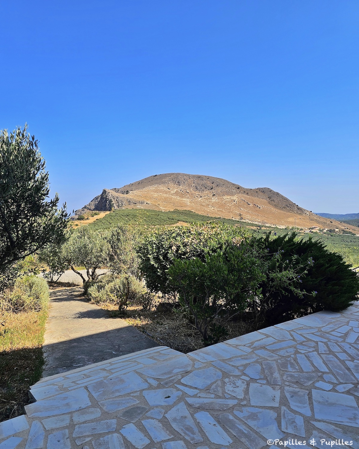 Biolea - vue depuis la terrasse