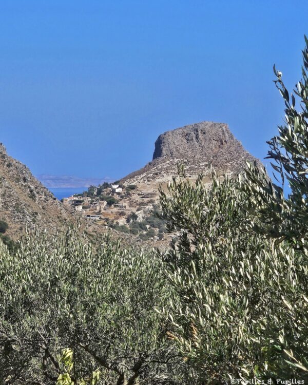 Biolea - vue depuis la terrasse