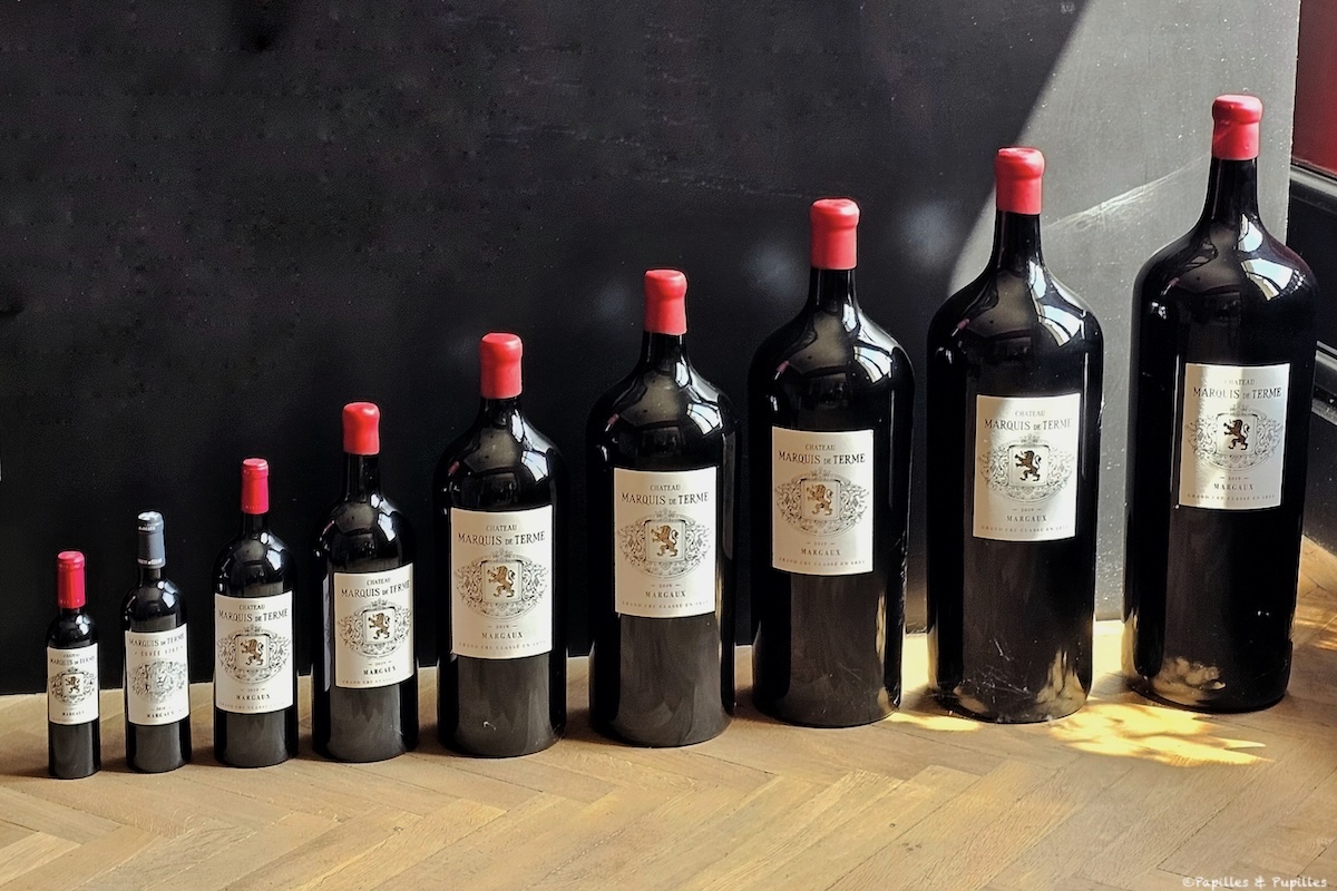 Château Marquis de Terme - Vins