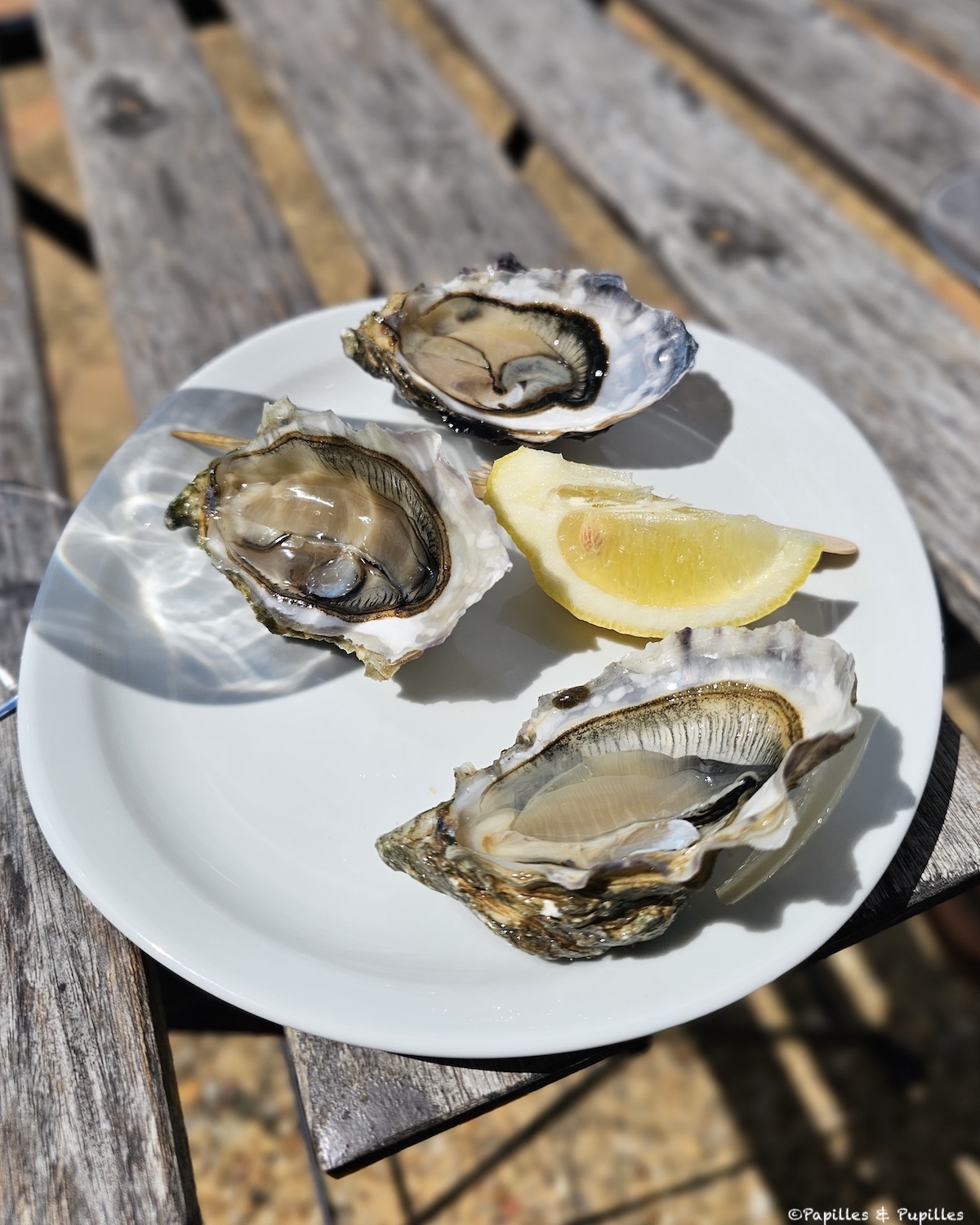 Huîtres
