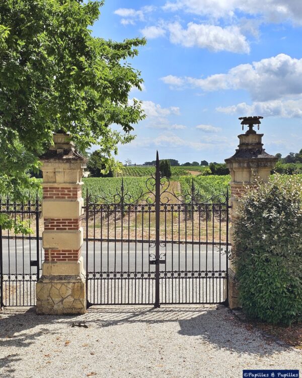 Les vignes de Marquis de Terme