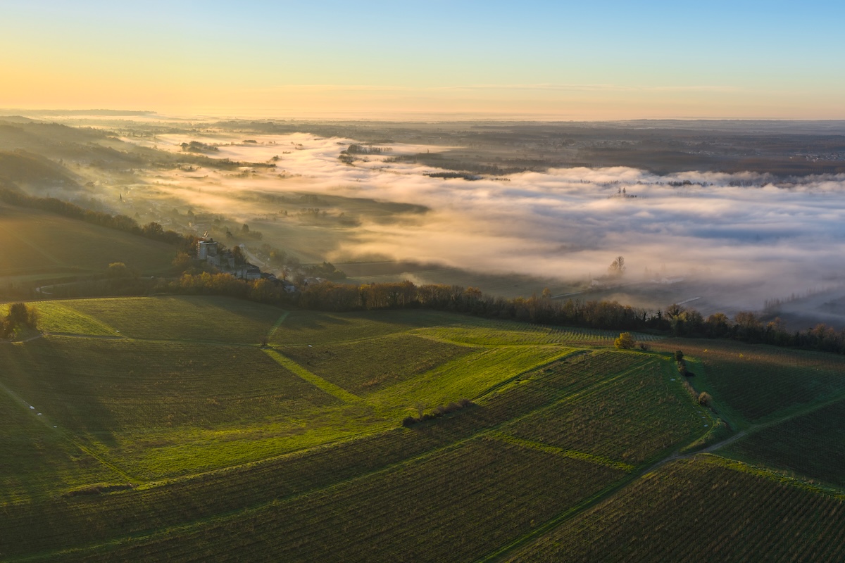 Vue aérienne Premières côtes de Bordeaux
