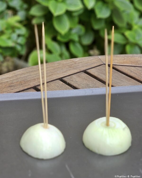 Plantez les piques dans les oignons