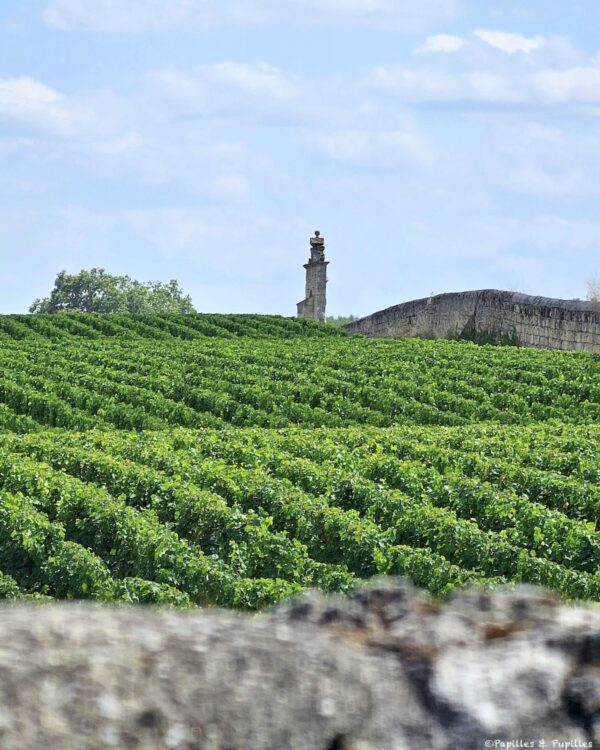 Vignes Margaux