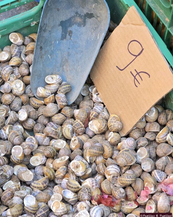 Escargots Chania