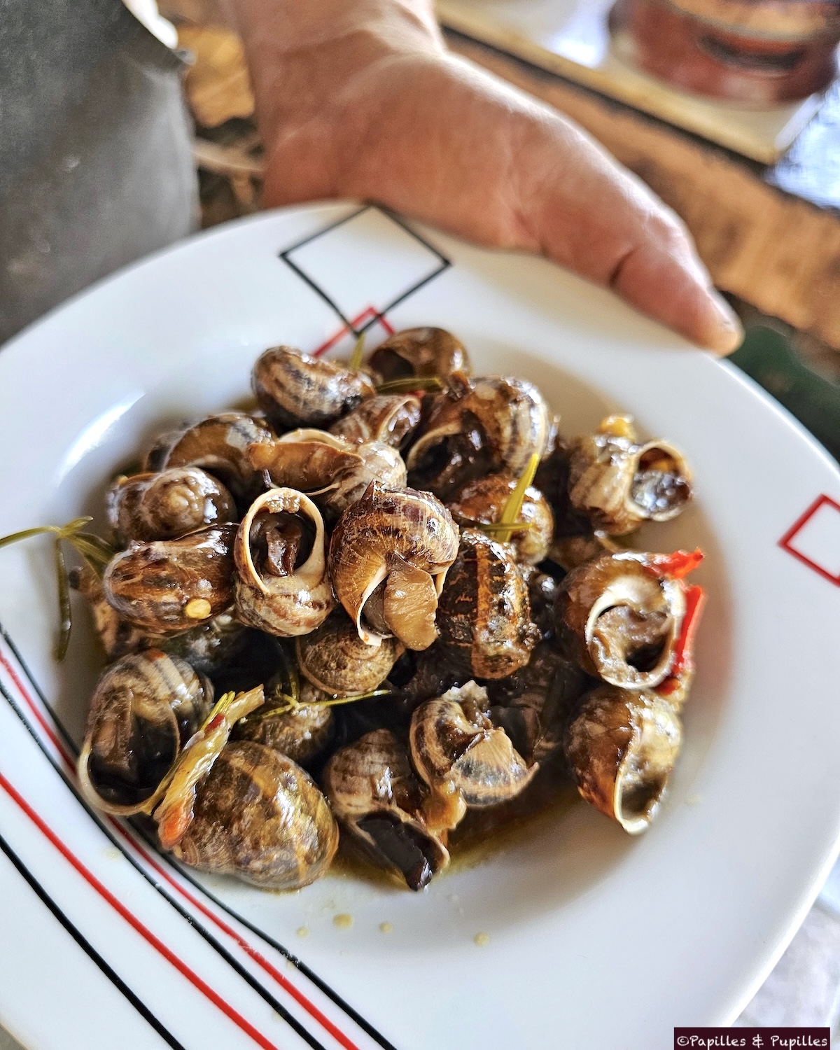 Escargots à la Crétoise 