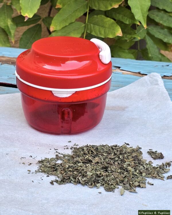 Menthe mixée sur papier sulfurisé