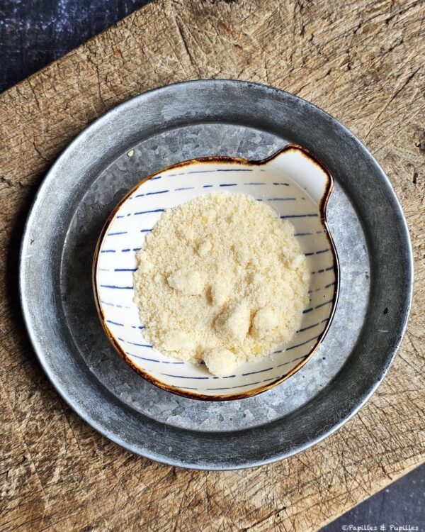 Parmesan en poudre