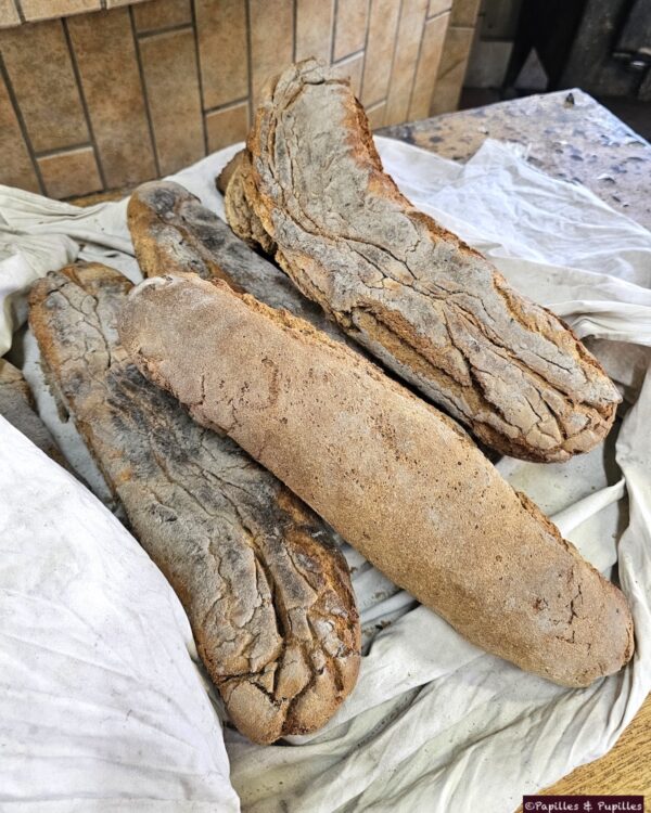 Pains sortis du four