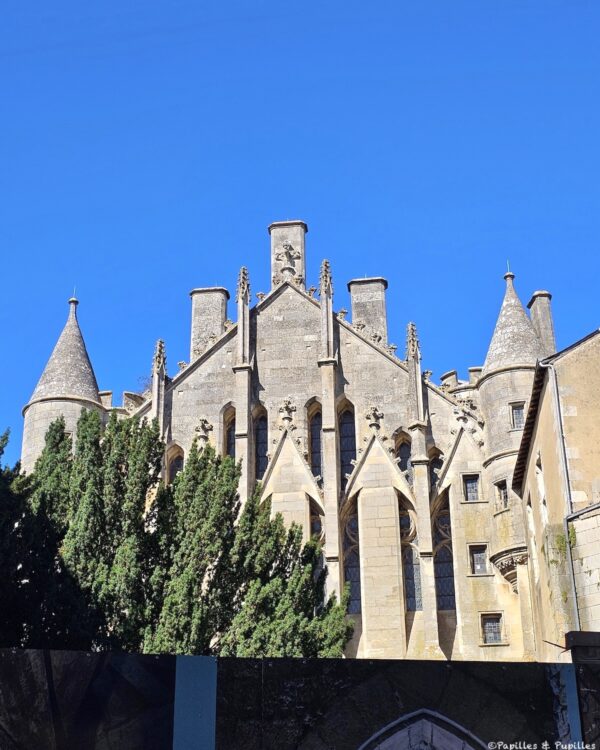 Cheminées Palais des ducs d'Aquitaine