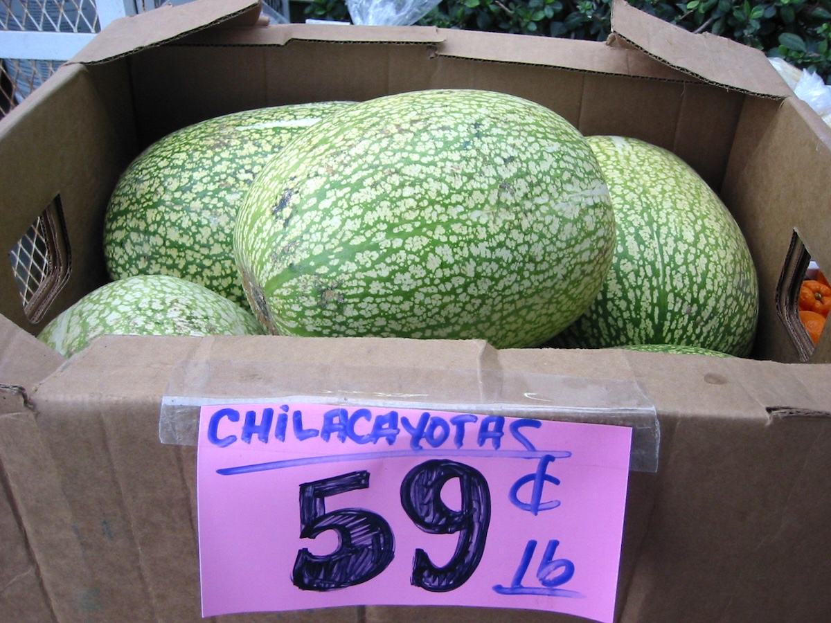 Courges de Siam ©mswine CC BY-NC-ND 2.0