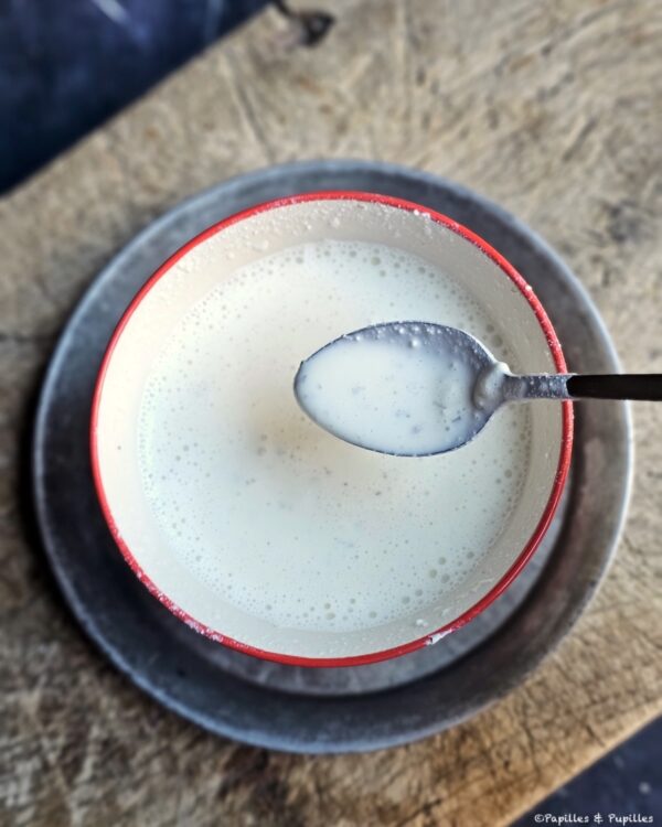 Mélange fromage et lait