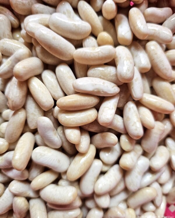 Mogettes réhydratées