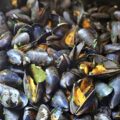 Moules