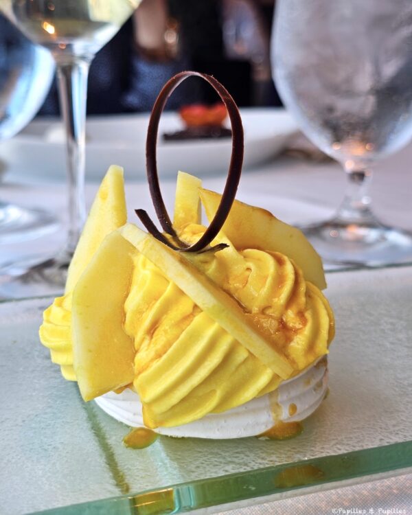 Pavlova mangue passion