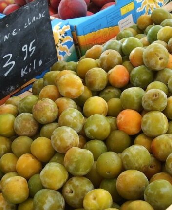 Prunes Reine-Claude