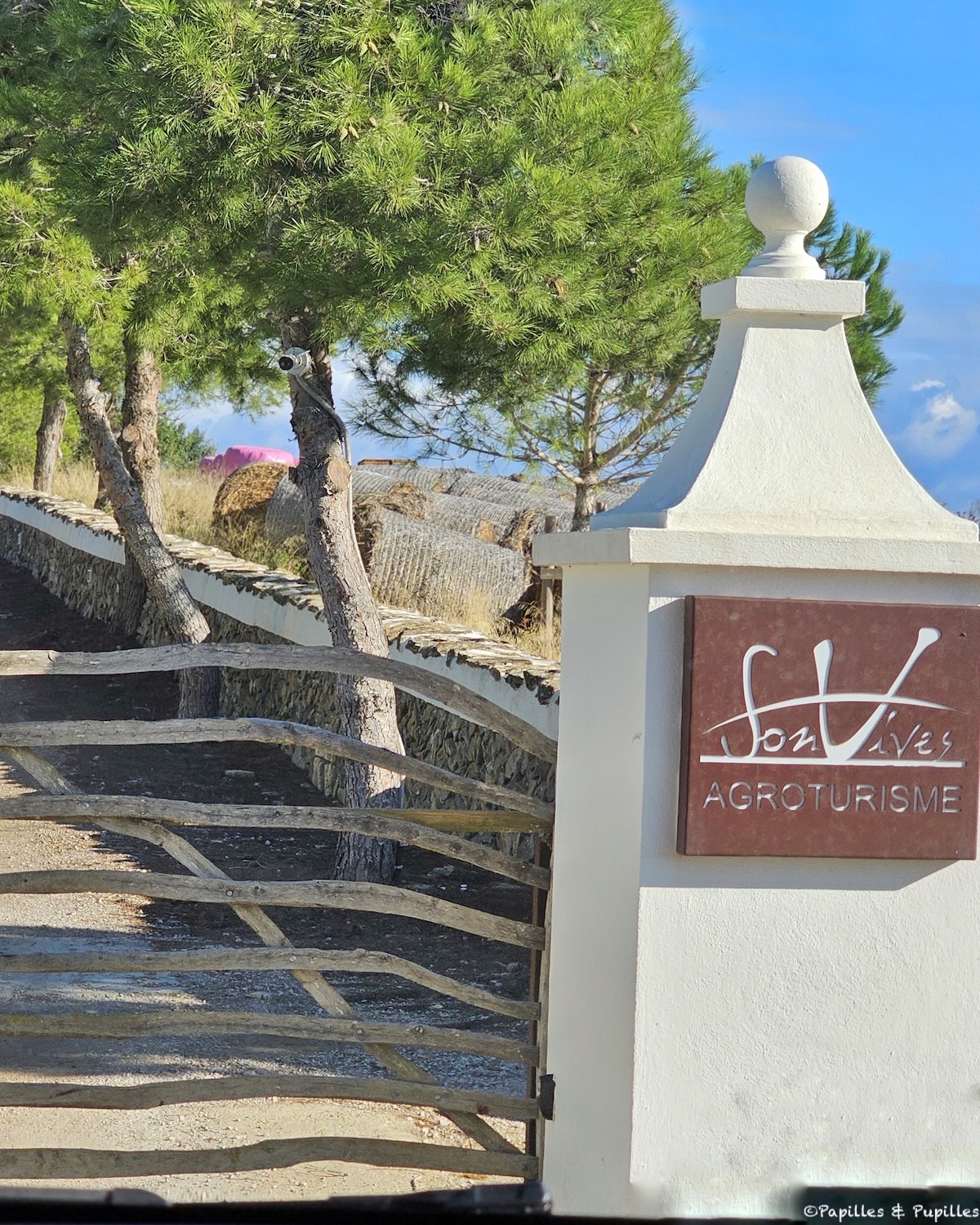 Agrotourisme Son Vives