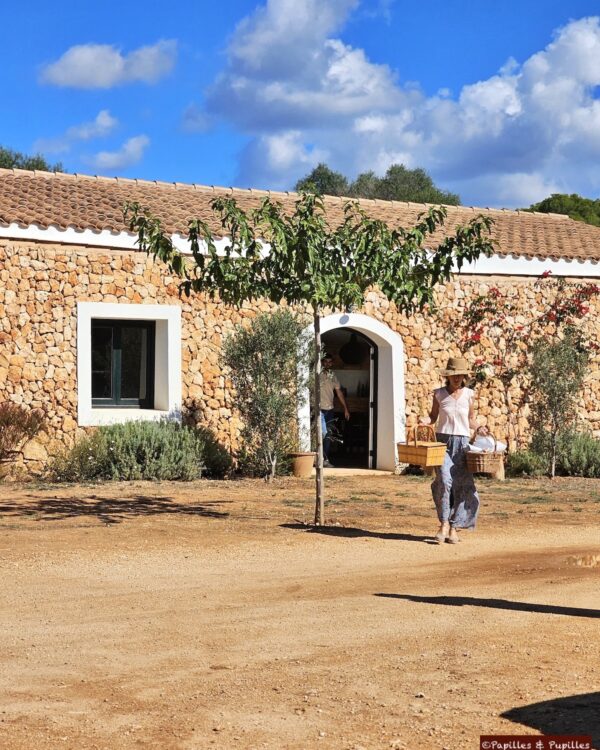 Arrivée à la bodega