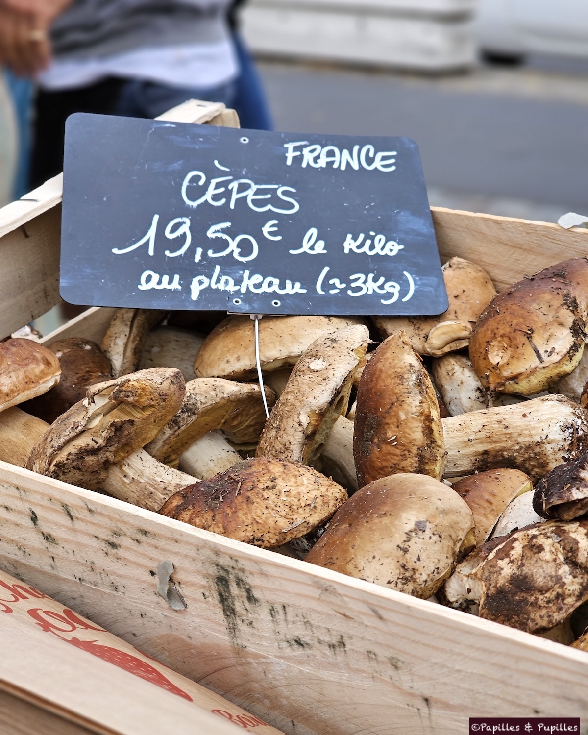 Cèpes, Marché des Chartrons, Bordeaux