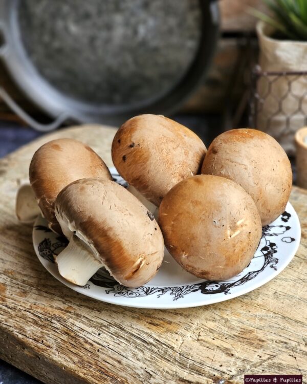 Champignons