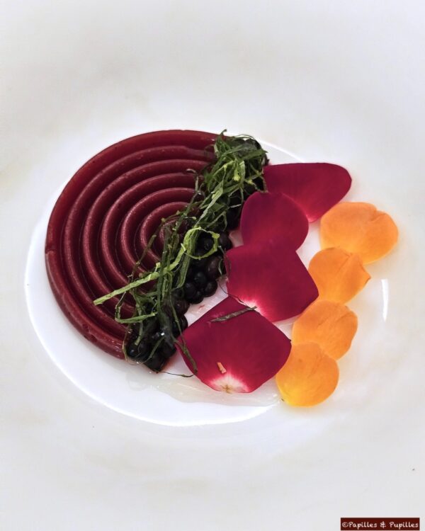 Le patio de l'amour : framboise hibiscus et brède mafane