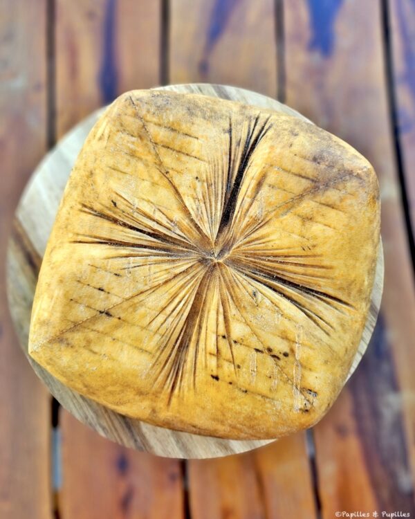 Fromage Mahon affiné