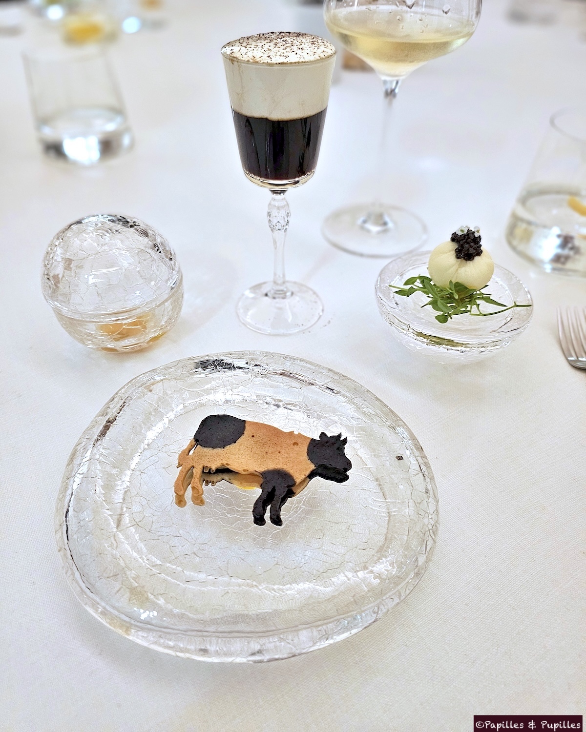 La vie du fromage, du frais au très affiné