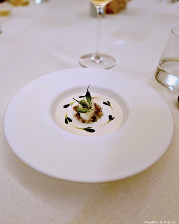 Aubergine, ajo blanco de coco