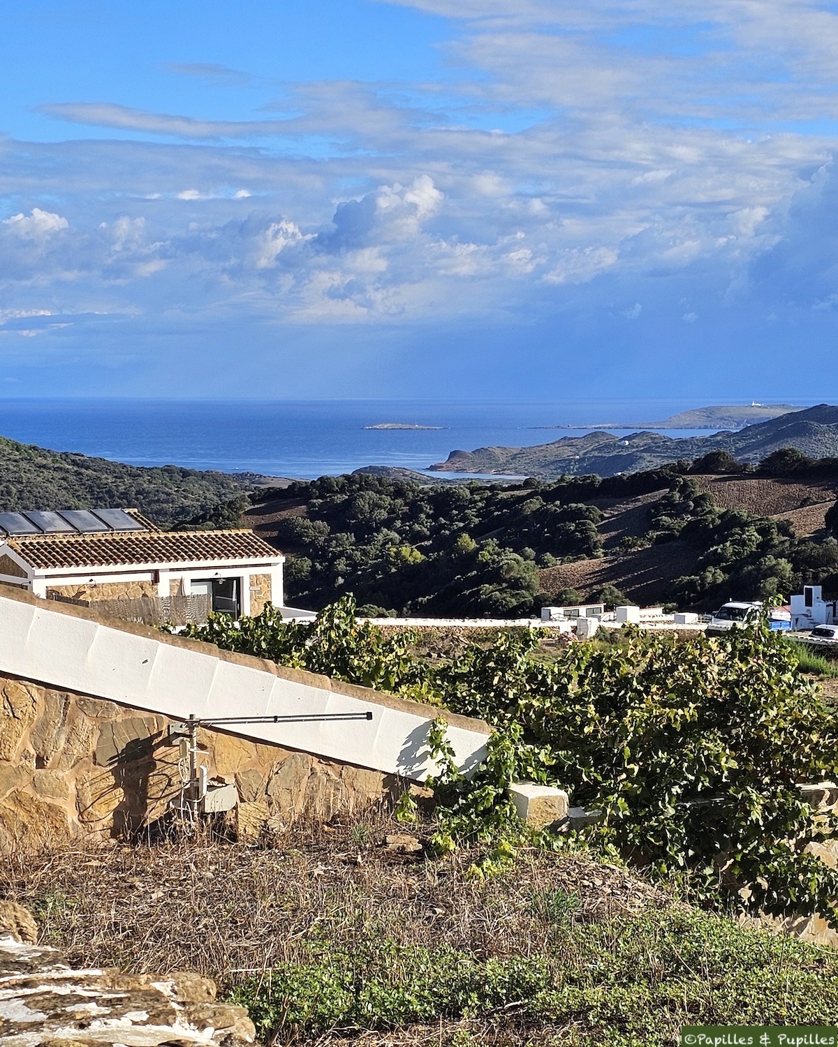 La vue depuis Son Vives