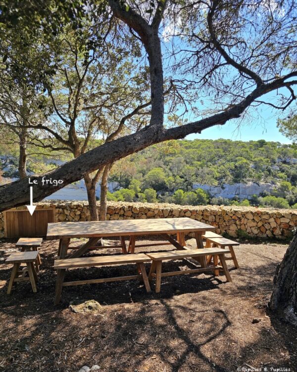 Table de pique nique