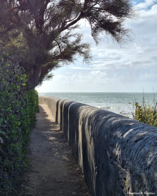 Au phare des baleines