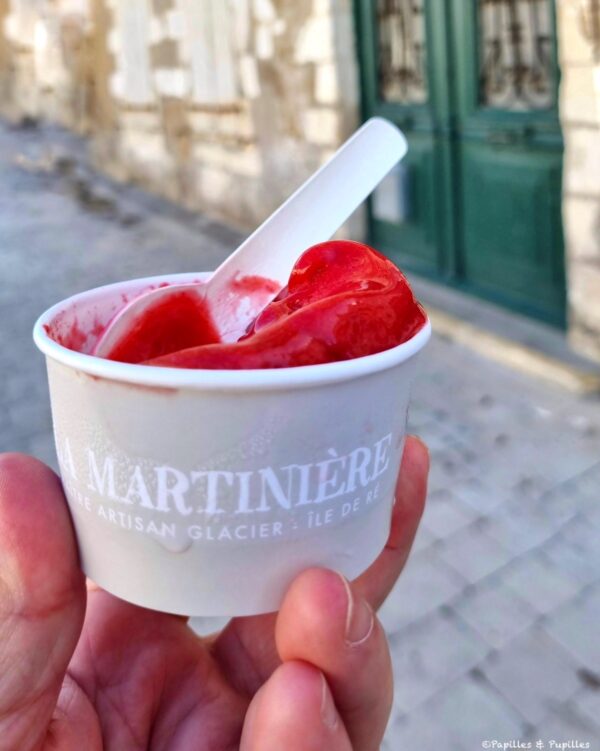 Glace La Martinière