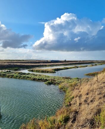 Marais salant