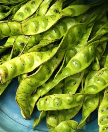 Petai, haricots puants, ThaÏlande