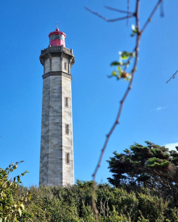 Phare des baleines